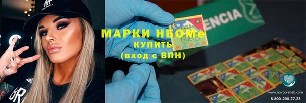 мет Алексин
