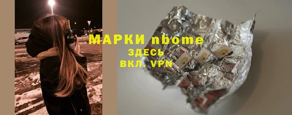 стаф Алзамай