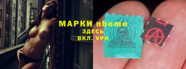 стаф Алзамай
