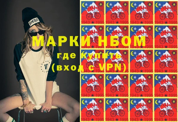 стаф Алзамай