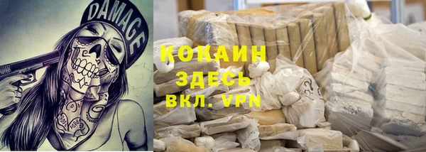 мет Алексин