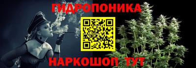 Альфа ПВП Будённовск