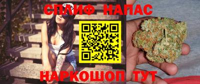 Альфа ПВП Будённовск