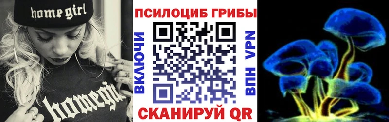Псилоцибиновые грибы MAGIC MUSHROOMS  где купить наркоту  Волхов 
