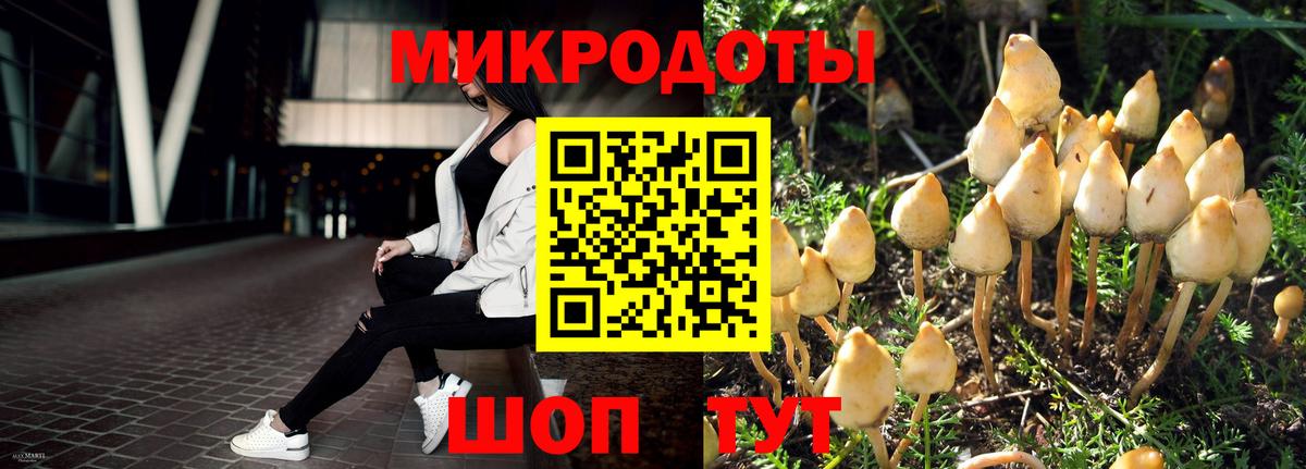 Волхов  Галлюциногенные грибы Psilocybine cubensis  Галлюциногенные грибы ЛСД  Вход с VPN 