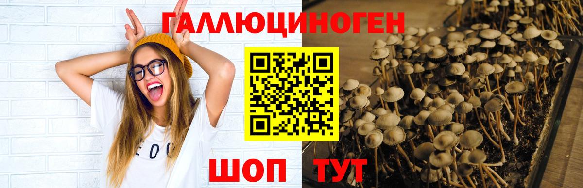 Галлюциногенные грибы прущие грибы Волхов