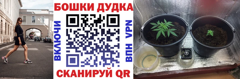 даркнет Telegram  Волхов  Бошки марихуана OG Kush  дарнет шоп 